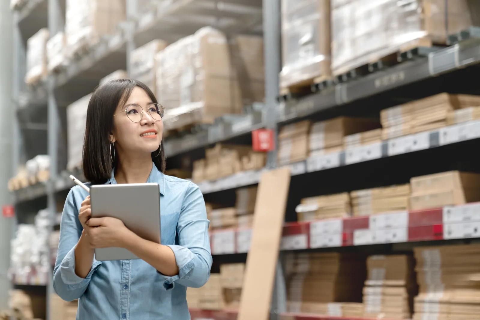 Professional Warehouse Storage